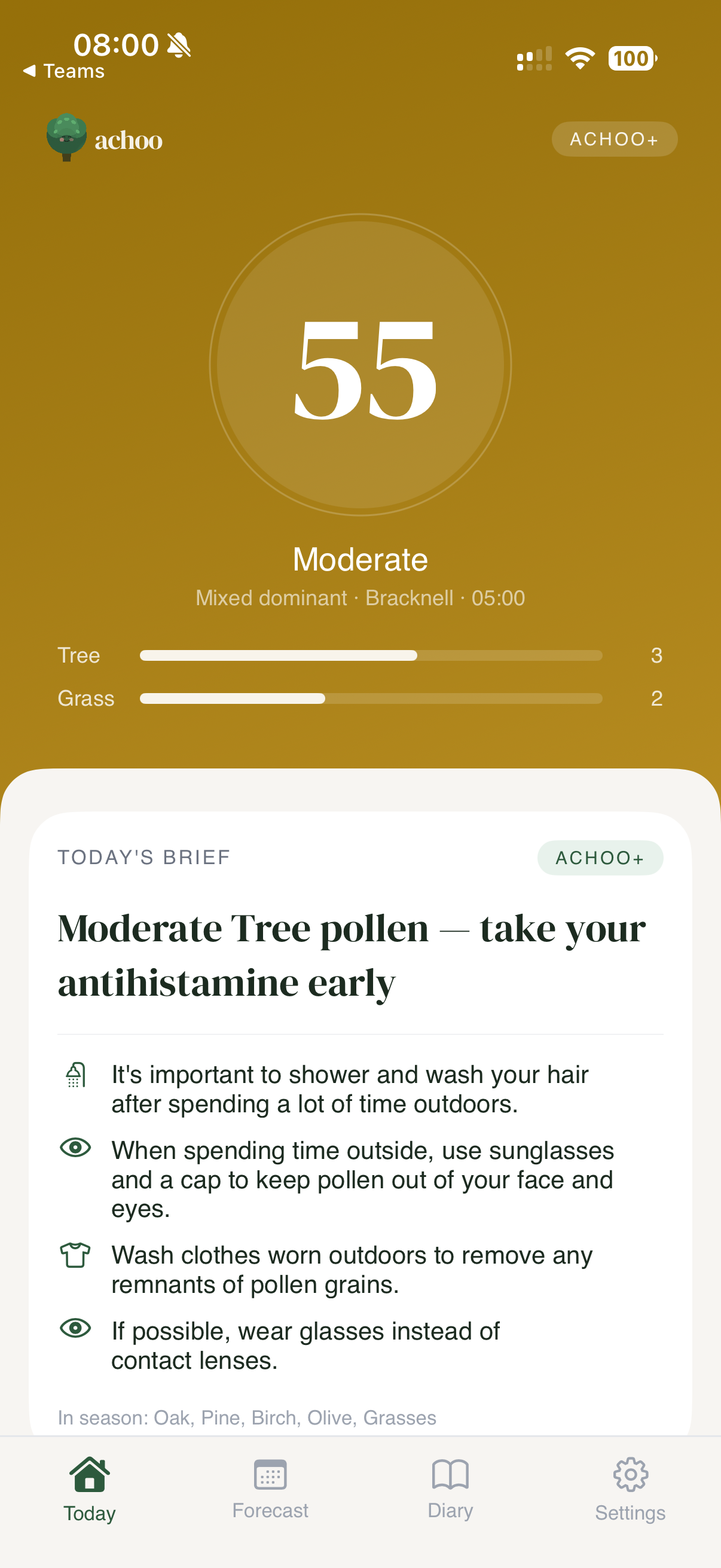 Achoo Today on a Moderate day — score 55, tree at level 3, brief reads 'Moderate Tree pollen — take your antihistamine early' with four tailored tips: shower after outdoors, wear sunglasses, wash clothes, glasses over contacts