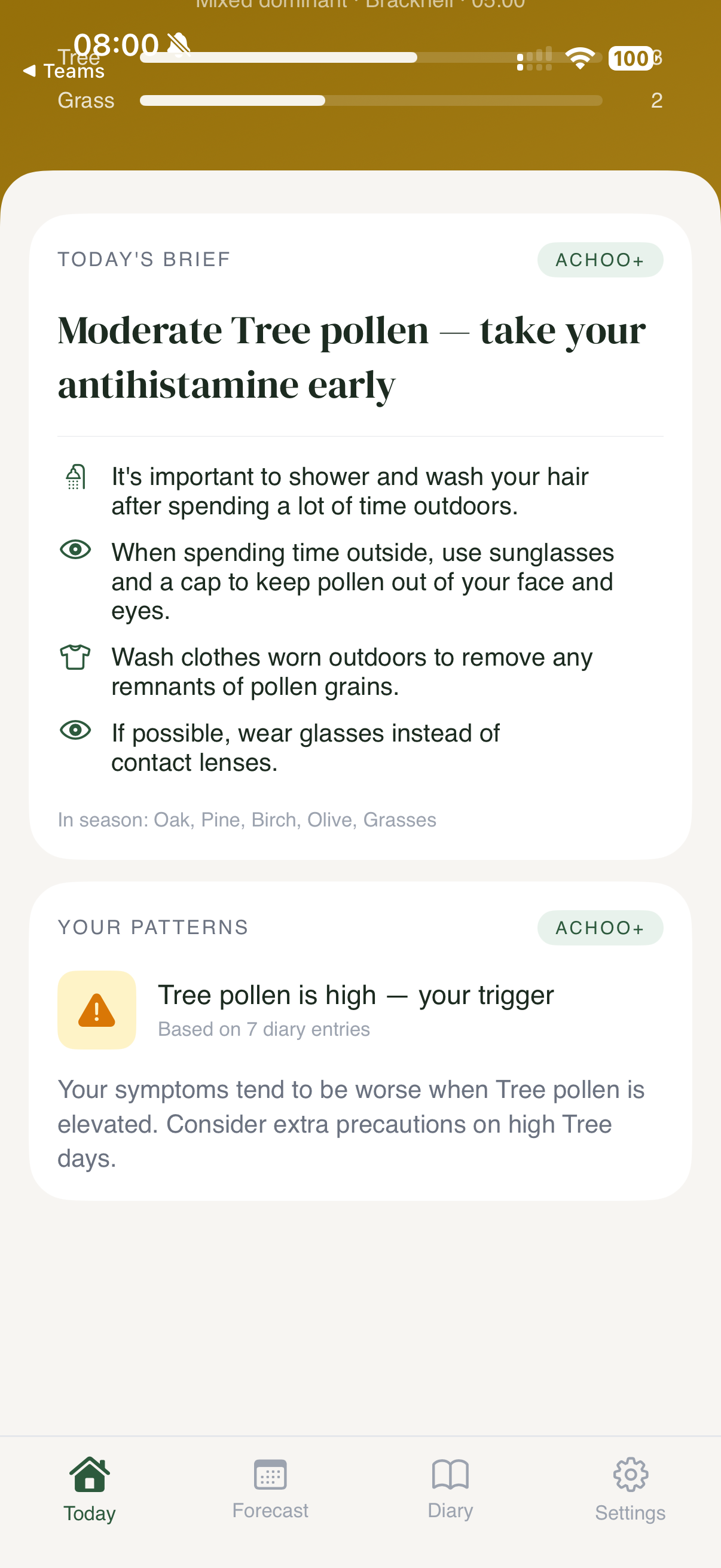 Achoo Insights — 'Tree pollen is high — your trigger', learned from 7 diary entries, with a calm note that symptoms tend to be worse when Tree pollen is elevated